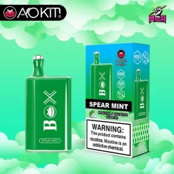 AoKit Box 4000 hơi vị Bạc Hà - Magapod.vn