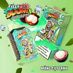 Pod Fizzy Boom 8000 Puffs Pod Vị Măng Cụt Lạnh - Magapod.vn