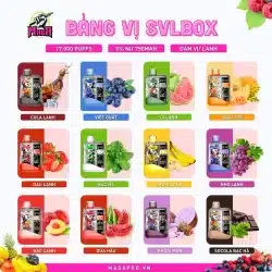 Bảng vị Pod SVL BOX 17000 Puffs Pod SVL BOX 17000 Puffs Pod 1 lần 17K hơi Magapod.vn