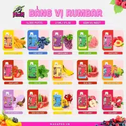 Bảng Vị Pod RUMBAR 16000 Puffs Pod 16000 hơi Vị Bạc Hà Magapod.vn