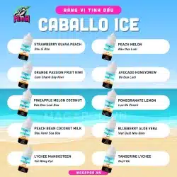 Bảng Vị Tinh Dầu Saltnic CABALLO Ice E Juice 60MG 30ml