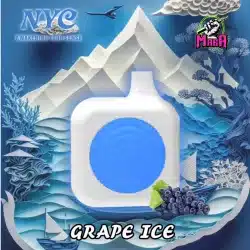 Pod 1 lần NYC 9500 Puffs Pod 1 lần giá rẻ Vị Nho Magapod.vn