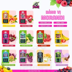 Pod 1 Lần Morandi 20000 Puffs Pod Morandi 20K hơi hương vị mát lạnh Magapod.vn