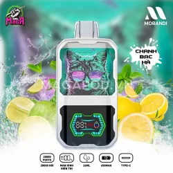 Pod 1 Lần Morandi 20000 Puffs Pod Morandi 20K hơi hương vị mát lạnh Vị Chanh Bạc Hà Magapod.vn