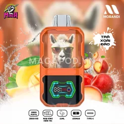 Pod 1 Lần Morandi 20000 Puffs Pod Morandi 20K hơi hương vị mát lạnh Vị Trà Xoài Đào Magapod.vn