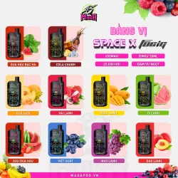 Bảng Vị Pod 1 lần Space X 25000 Puffs Pod Space X 25K Magapodvn