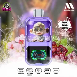 Pod 1 Lần Morandi 30000 Puffs Pod Morandi 30K Vị Nho Anh Đào Magapod.vn
