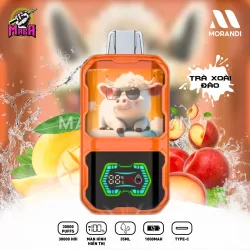 Pod 1 Lần Morandi 30000 Puffs Pod Morandi 30K Vị Trà Xoài Đào Magapod.vn